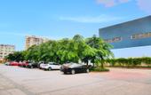 Туры в отель City Comfort Inn Hotel (Dongguan Zhongtang) Туры в отель City Comfort Inn Hotel (Dongguan Zhongtang)