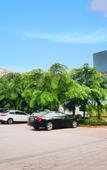 Туры в отель City Comfort Inn Hotel (Dongguan Zhongtang) Туры в отель City Comfort Inn Hotel (Dongguan Zhongtang)