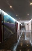 Туры в отель Chuangejia Huimei Hotel (Shaoxing Paojiang Agricultural Business College) Туры в отель Chuangejia Huimei Hotel (Shaoxing Paojiang Agricultural Business College)