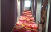 Туры в отель WP Guo Creative Hotel (Cangnan EMU Station Store) Туры в отель WP Guo Creative Hotel (Cangnan EMU Station Store)