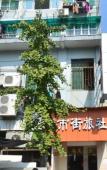 Туры в отель Homeinn · neo (Hangzhou West Lake Jiefang Road Ma Shi Street) Туры в отель Homeinn · neo (Hangzhou West Lake Jiefang Road Ma Shi Street)