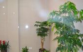 Туры в отель NANYUAN INN Chain Hotel (Linhai Yintaicheng) Туры в отель NANYUAN INN Chain Hotel (Linhai Yintaicheng)