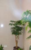 Туры в отель NANYUAN INN Chain Hotel (Linhai Yintaicheng) Туры в отель NANYUAN INN Chain Hotel (Linhai Yintaicheng)