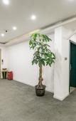 Туры в отель Yiren Business Hotel Туры в отель Yiren Business Hotel