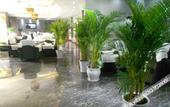 Туры в отель Chengdu Meichen Business Hotel Туры в отель Chengdu Meichen Business Hotel