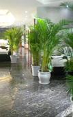 Туры в отель Chengdu Meichen Business Hotel Туры в отель Chengdu Meichen Business Hotel