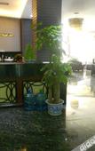 Туры в отель Chengdu Meichen Business Hotel Туры в отель Chengdu Meichen Business Hotel