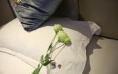 Туры в отель Yashang Hotel (Hangzhou East Railway Station Xinfeng Subway Station) Туры в отель Yashang Hotel (Hangzhou East Railway Station Xinfeng Subway Station)