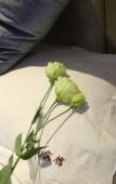 Туры в отель Yashang Hotel (Hangzhou East Railway Station Xinfeng Subway Station) Туры в отель Yashang Hotel (Hangzhou East Railway Station Xinfeng Subway Station)