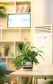 Туры в отель Junyi Chain Hotel (Longsheng Bus Station) Туры в отель Junyi Chain Hotel (Longsheng Bus Station)