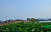 Туры в отель Tianyue Jiudian ( Hangzhou West Lake Store Туры в отель Tianyue Jiudian ( Hangzhou West Lake Store