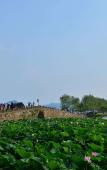 Туры в отель Tianyue Jiudian ( Hangzhou West Lake Store Туры в отель Tianyue Jiudian ( Hangzhou West Lake Store