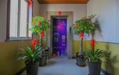 Туры в отель Huaying Hotel (Dalian Development Zone Wanli Middle Road Branch) Туры в отель Huaying Hotel (Dalian Development Zone Wanli Middle Road Branch)