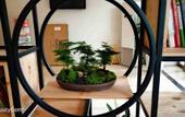 Туры в отель NANYUAN INN Hotel (Yuyao Chang'an Road) Туры в отель NANYUAN INN Hotel (Yuyao Chang'an Road)