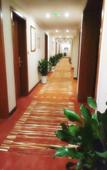 Туры в отель Dynasty Hotel (Chongqing Qianjiang Branch) Туры в отель Dynasty Hotel (Chongqing Qianjiang Branch)