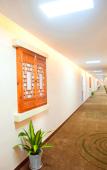 Туры в отель GreenTree Alliance Hotel (Changxing Wanda Zhebei Commercial Plaza) Туры в отель GreenTree Alliance Hotel (Changxing Wanda Zhebei Commercial Plaza)