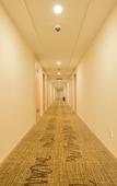 Туры в отель Hanting Hotel (Shanghai New International Expo Center, Hunan Road Branch) Туры в отель Hanting Hotel (Shanghai New International Expo Center, Hunan Road Branch)