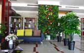 Туры в отель Chaoman Qingya Hotel (Xinyang High-Speed Railway Station) Туры в отель Chaoman Qingya Hotel (Xinyang High-Speed Railway Station)