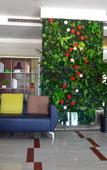 Туры в отель Chaoman Qingya Hotel (Xinyang High-Speed Railway Station) Туры в отель Chaoman Qingya Hotel (Xinyang High-Speed Railway Station)