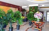 Туры в отель Chaoman Qingya Hotel (Xinyang High-Speed Railway Station) Туры в отель Chaoman Qingya Hotel (Xinyang High-Speed Railway Station)
