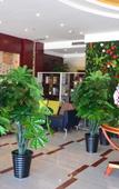 Туры в отель Chaoman Qingya Hotel (Xinyang High-Speed Railway Station) Туры в отель Chaoman Qingya Hotel (Xinyang High-Speed Railway Station)