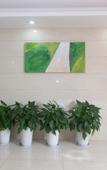 Туры в отель Elong Me Anlai Hotel (Shanghai Huashan Hospital Gucun Park Subway Station) Туры в отель Elong Me Anlai Hotel (Shanghai Huashan Hospital Gucun Park Subway Station)