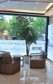Туры в отель GreenTree Eastern Hotel (Haining Railway Station Nanguanxiang) Туры в отель GreenTree Eastern Hotel (Haining Railway Station Nanguanxiang)
