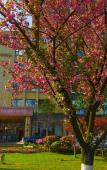 Туры в отель Jintian Hotel (Qionglai Dingsheng Times Plaza) Туры в отель Jintian Hotel (Qionglai Dingsheng Times Plaza)