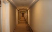Туры в отель Homeinn Hotel (Jing County Jingxin Avenue) Туры в отель Homeinn Hotel (Jing County Jingxin Avenue)