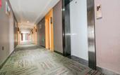 Туры в отель Shankee Chain Hotel (Kangding Xinduqiao Town) Туры в отель Shankee Chain Hotel (Kangding Xinduqiao Town)