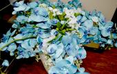 Туры в отель Binxian Baida Business Hotel Туры в отель Binxian Baida Business Hotel