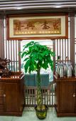 Туры в отель Beijing Jinglan Hotel (Yanqing Horticultural Exposition Park) Туры в отель Beijing Jinglan Hotel (Yanqing Horticultural Exposition Park)