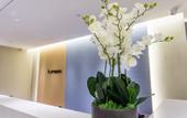 Туры в отель Homeinn · neo (Xiamen Airport SM City Square Taiwan Street) Туры в отель Homeinn · neo (Xiamen Airport SM City Square Taiwan Street)