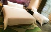 Туры в отель Hampton by Hilton Nanning East Station Туры в отель Hampton by Hilton Nanning East Station