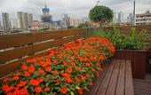Туры в отель Hua Zhen Ge Art Hotel Туры в отель Hua Zhen Ge Art Hotel