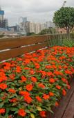 Туры в отель Hua Zhen Ge Art Hotel Туры в отель Hua Zhen Ge Art Hotel