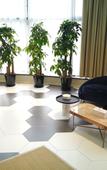 Туры в отель Meishi Hotel(Shanghai Changjiang South Road Store) Туры в отель Meishi Hotel(Shanghai Changjiang South Road Store)