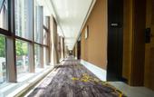 Туры в отель Junhui Hotel (Chongqing Shizhu the high-speed rail Store) Туры в отель Junhui Hotel (Chongqing Shizhu the high-speed rail Store)