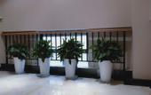 Туры в отель Shankee Hotel (Xi'an Baqiao Chanhe Subway Station) Туры в отель Shankee Hotel (Xi'an Baqiao Chanhe Subway Station)