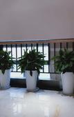 Туры в отель Shankee Hotel (Xi'an Baqiao Chanhe Subway Station) Туры в отель Shankee Hotel (Xi'an Baqiao Chanhe Subway Station)