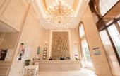 Туры в отель Vienna Hotel(Chongqing Jiangjin Shuangfu store) Туры в отель Vienna Hotel(Chongqing Jiangjin Shuangfu store)