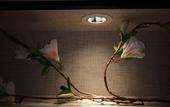 Туры в отель Shankee Hotel (Xian County Leshou Street) Туры в отель Shankee Hotel (Xian County Leshou Street)