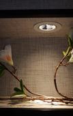 Туры в отель Shankee Hotel (Xian County Leshou Street) Туры в отель Shankee Hotel (Xian County Leshou Street)