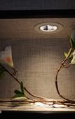 Туры в отель Shankee Hotel (Xian County Leshou Street) Туры в отель Shankee Hotel (Xian County Leshou Street)