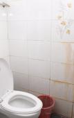 Туры в отель Junyi Hotel(Beijing Tongzhou Road Luhe Hospital Branch) Туры в отель Junyi Hotel(Beijing Tongzhou Road Luhe Hospital Branch)