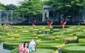 Туры в отель Foshan Yijun Hotel Туры в отель Foshan Yijun Hotel