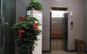Туры в отель Shankee Chain Hotel (Pingle Shazi Town) Туры в отель Shankee Chain Hotel (Pingle Shazi Town)