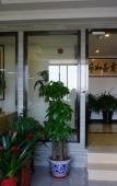 Туры в отель Jinzi Business Hotel Туры в отель Jinzi Business Hotel