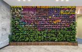 Туры в отель Boman Art Garden Hotel (Qilu Software Park Subway Station Branch) Туры в отель Boman Art Garden Hotel (Qilu Software Park Subway Station Branch)