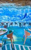 Туры в отель Chimelong Spaceship Hotel Туры в отель Chimelong Spaceship Hotel